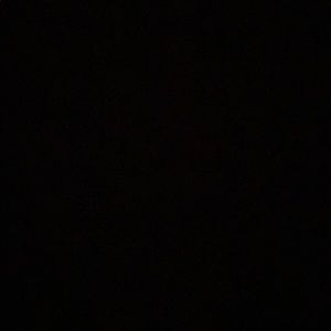 Meet your Posher, Prisha